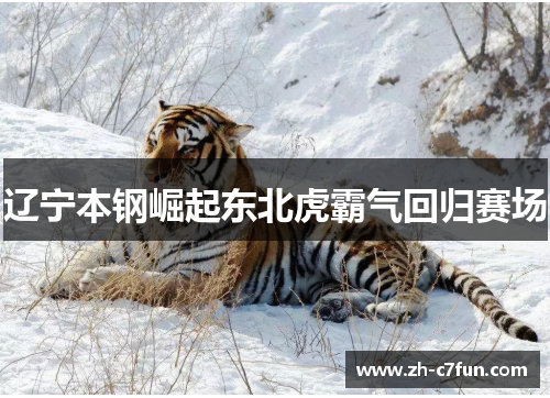 辽宁本钢崛起东北虎霸气回归赛场