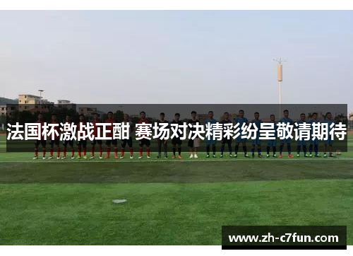 法国杯激战正酣 赛场对决精彩纷呈敬请期待